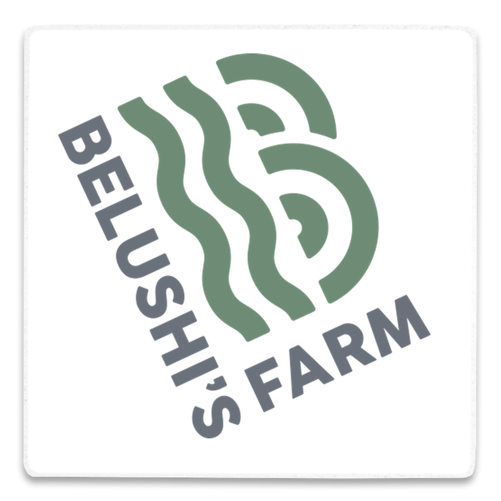 Belushi's Farm Square Magnet