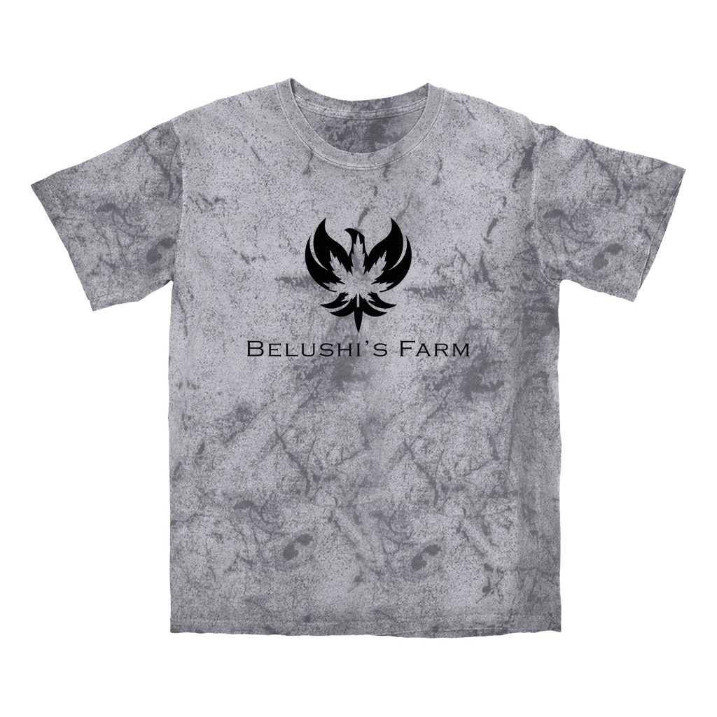 Phoenix Colorblast - Tees