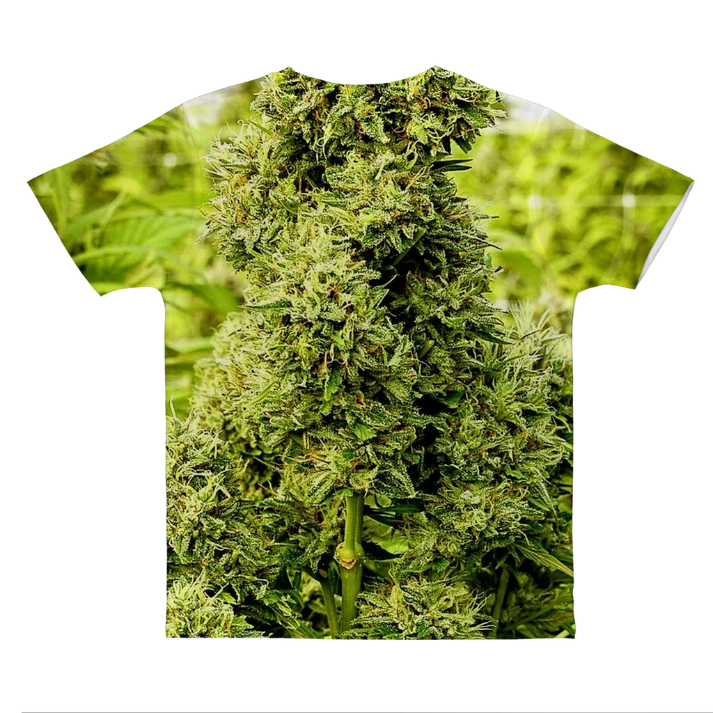 Organics All Over BF Tee